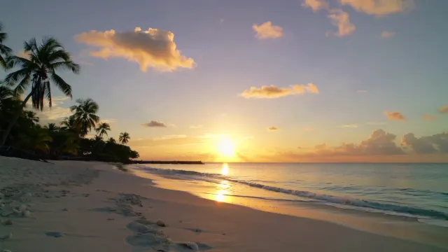 Trade Winds